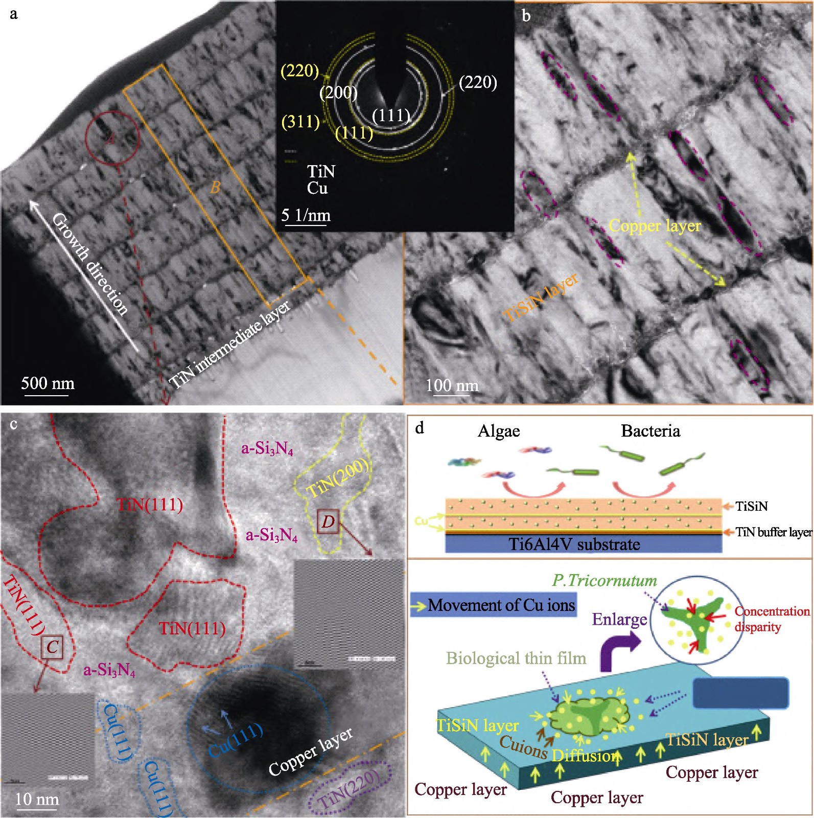 海洋環境鈦金屬的應用現狀及其防護技術研究