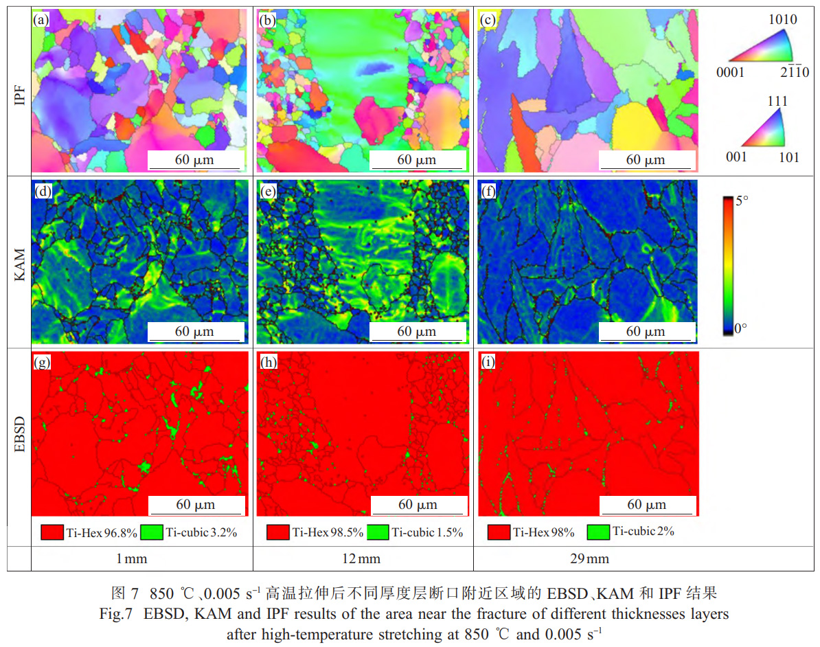 面向船舶大型殼體件的TC4鈦合金厚板精密熱壓成形技術(shù)研究——解析厚向組織不均勻性對(duì)成形性能的影響，通過(guò)應(yīng)力松弛-回彈耦合模擬優(yōu)化保壓參數(shù)，實(shí)現(xiàn)±2mm形狀公差的高精度成形