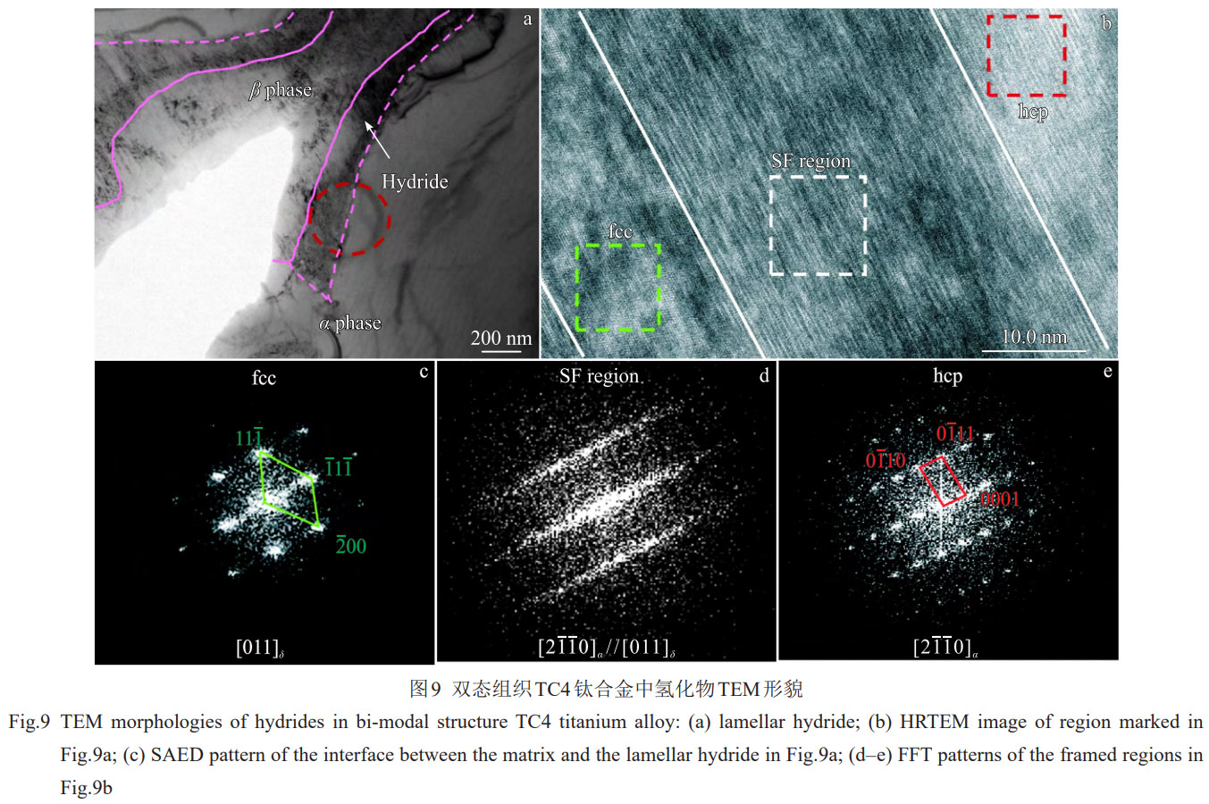 顯微組織對(duì)TC4雙相鈦合金氫化物轉(zhuǎn)變及氫分布的影響機(jī)制——系統(tǒng)解析相界面作用、氫擴(kuò)散規(guī)律與氫化物變體選擇特性
