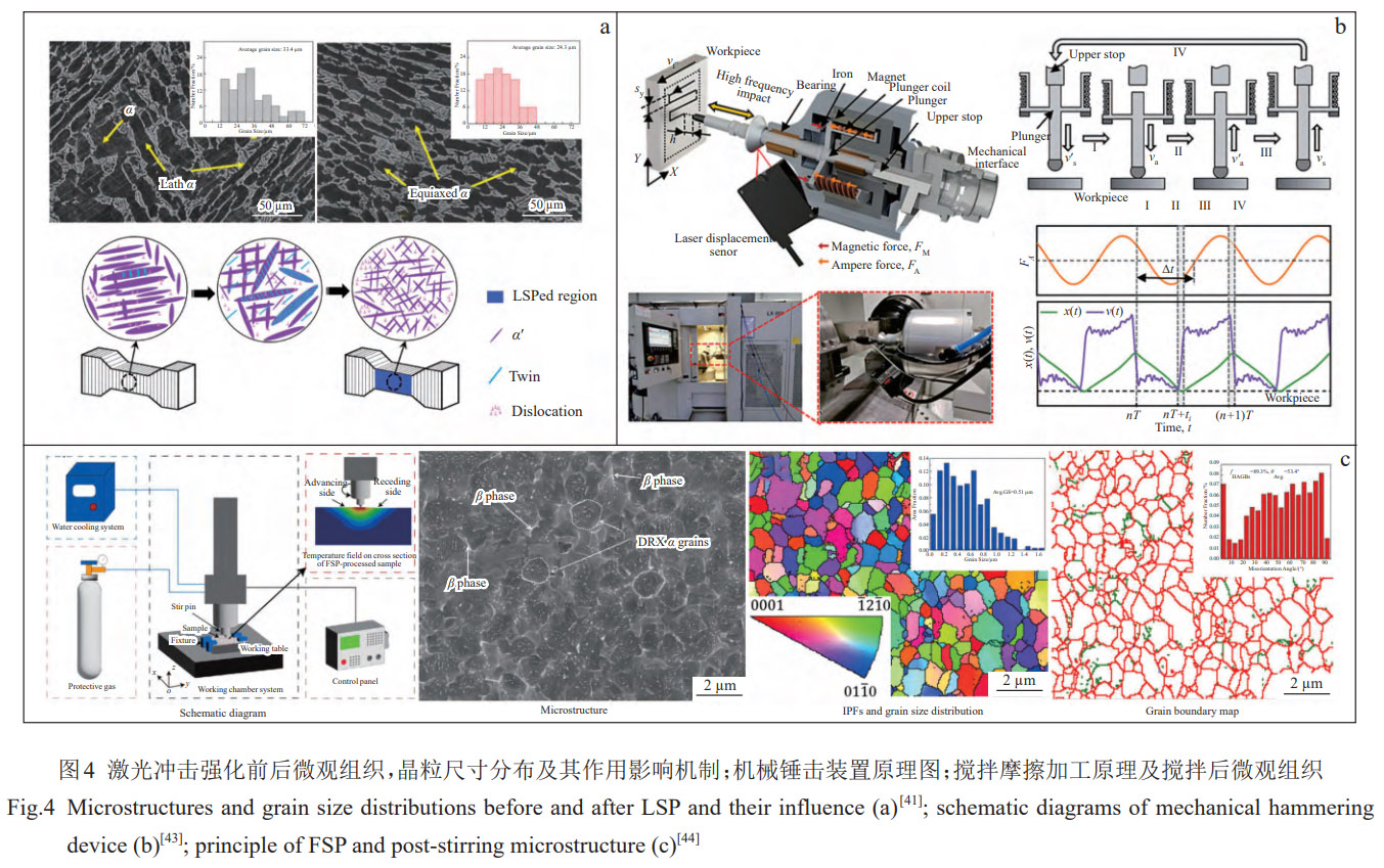 增材制造TC4合金微觀組織等軸化精準(zhǔn)調(diào)控研究進(jìn)展——從微合金元素?fù)诫s外場(chǎng)物理干預(yù)到熱處理工藝優(yōu)化，系統(tǒng)解析晶粒細(xì)化與等軸化內(nèi)在規(guī)律