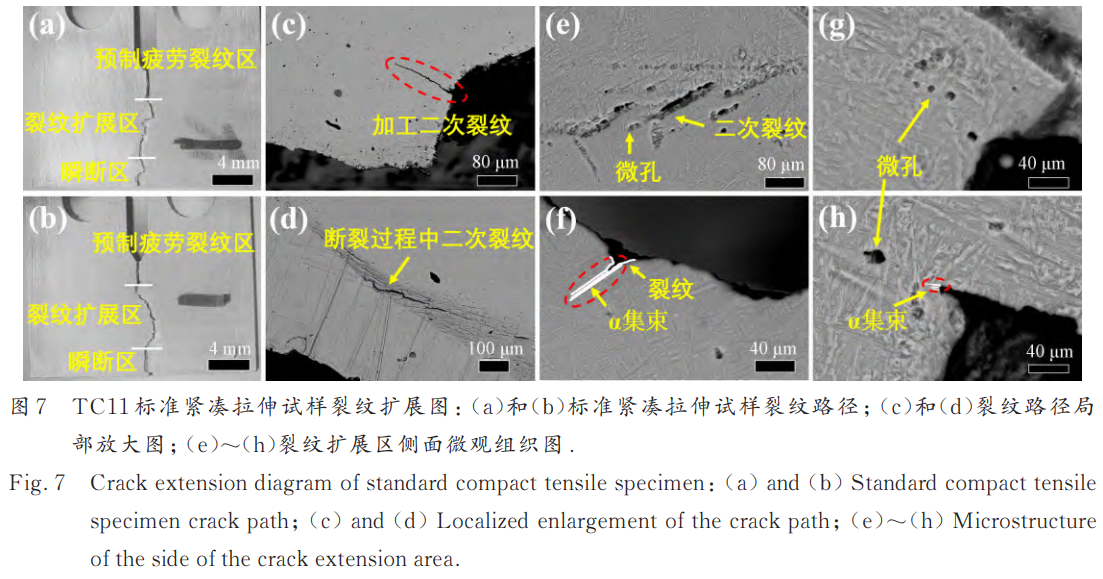 1768205080646069.png 截圖20260112113455.png